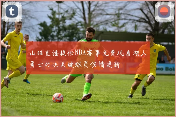 山猫直播提供NBA赛事免费观看湖人勇士对决关键球员伤情更新