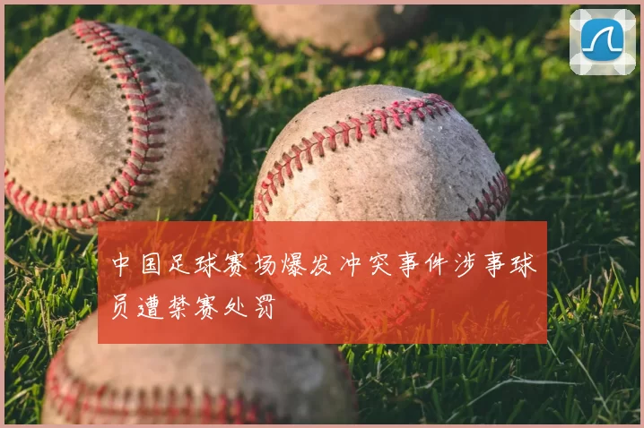 中国足球赛场爆发冲突事件涉事球员遭禁赛处罚