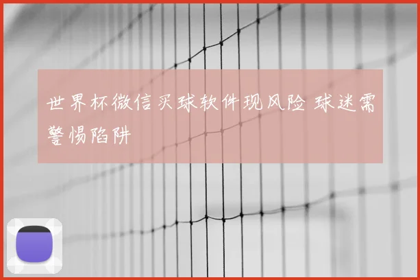 世界杯微信买球软件现风险 球迷需警惕陷阱