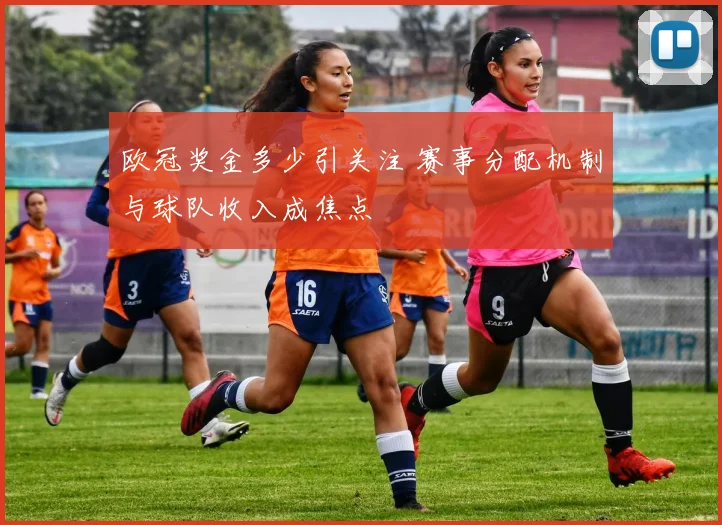 欧冠奖金多少引关注 赛事分配机制与球队收入成焦点