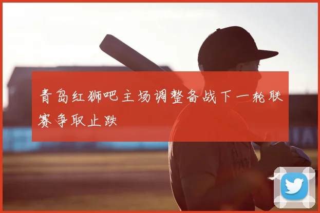 青岛红狮吧主场调整备战下一轮联赛争取止跌