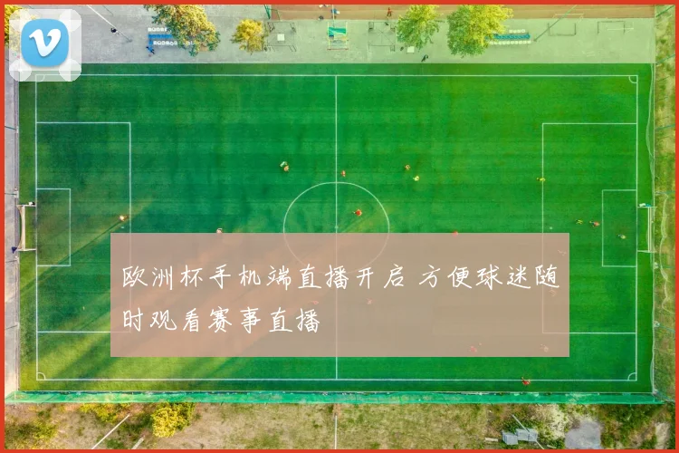 欧洲杯手机端直播开启 方便球迷随时观看赛事直播