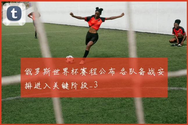 俄罗斯世界杯赛程公布 各队备战安排进入关键阶段_3