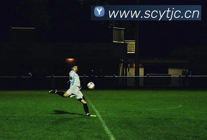 多媒体互动体验